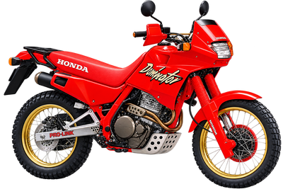 NX650 Dominator