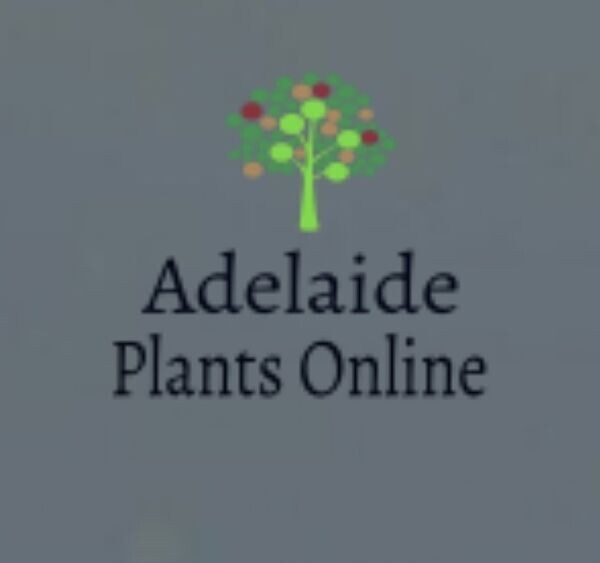 Adelaide Plants Online