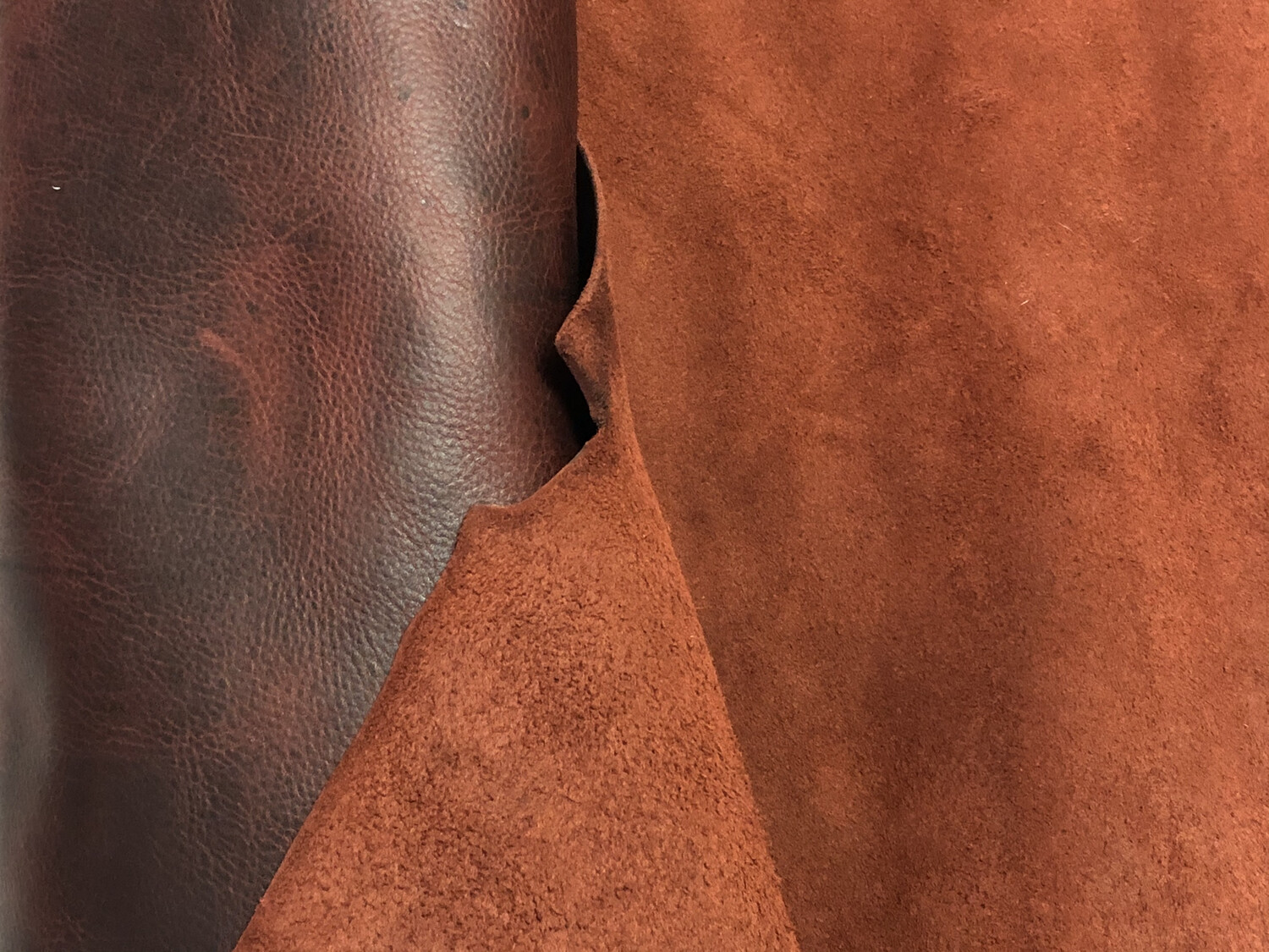 Leather Color Swatches