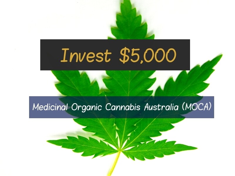 Buy 5,000 Shares in Medicinal Organic Cannabis Australia (MOCA)