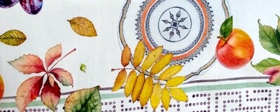 Articolo Fruit