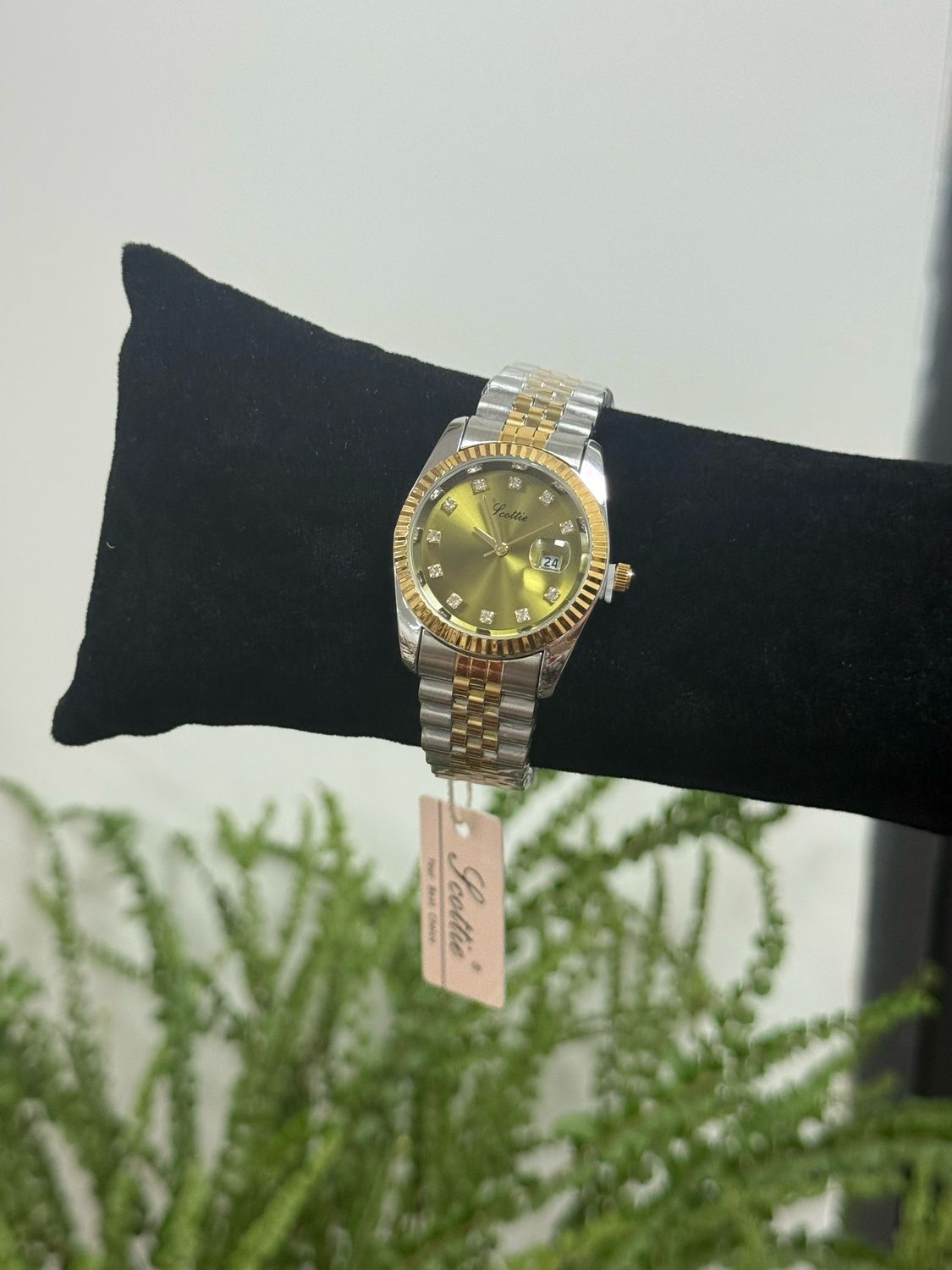 Scottie Watch