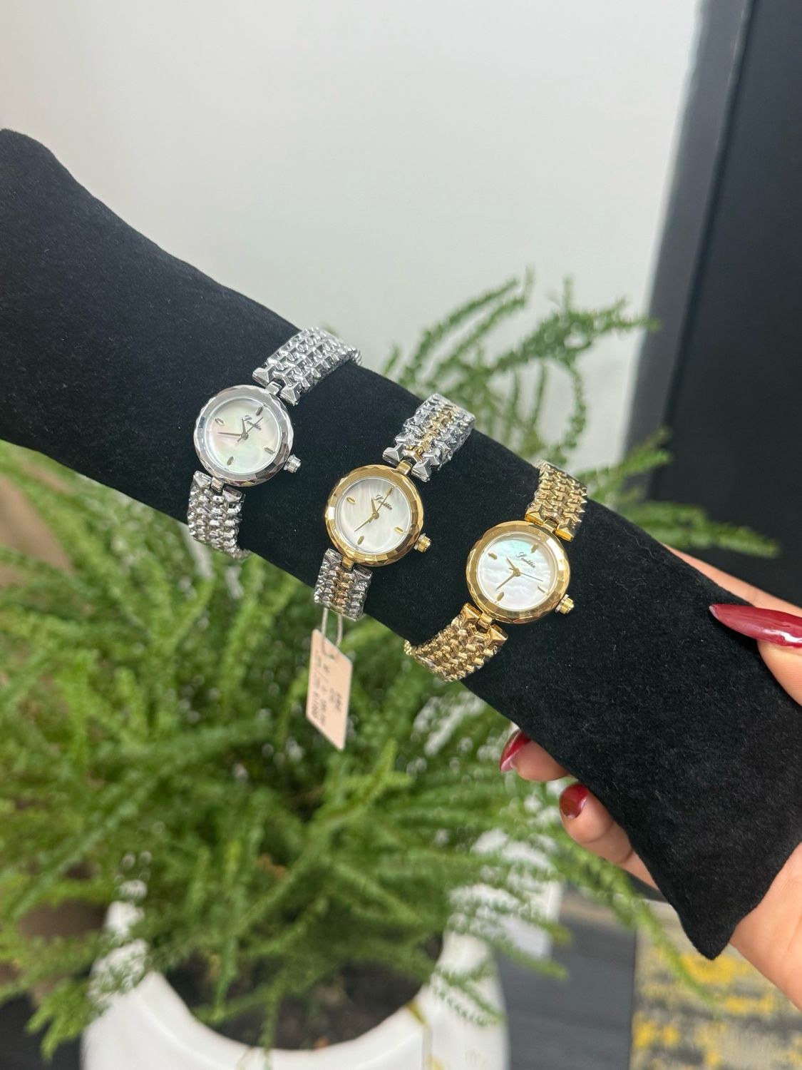 Scottie Watch