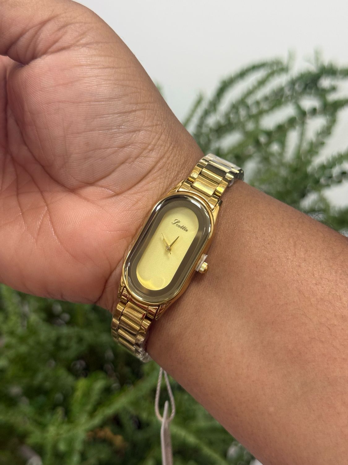 Scottie Watch