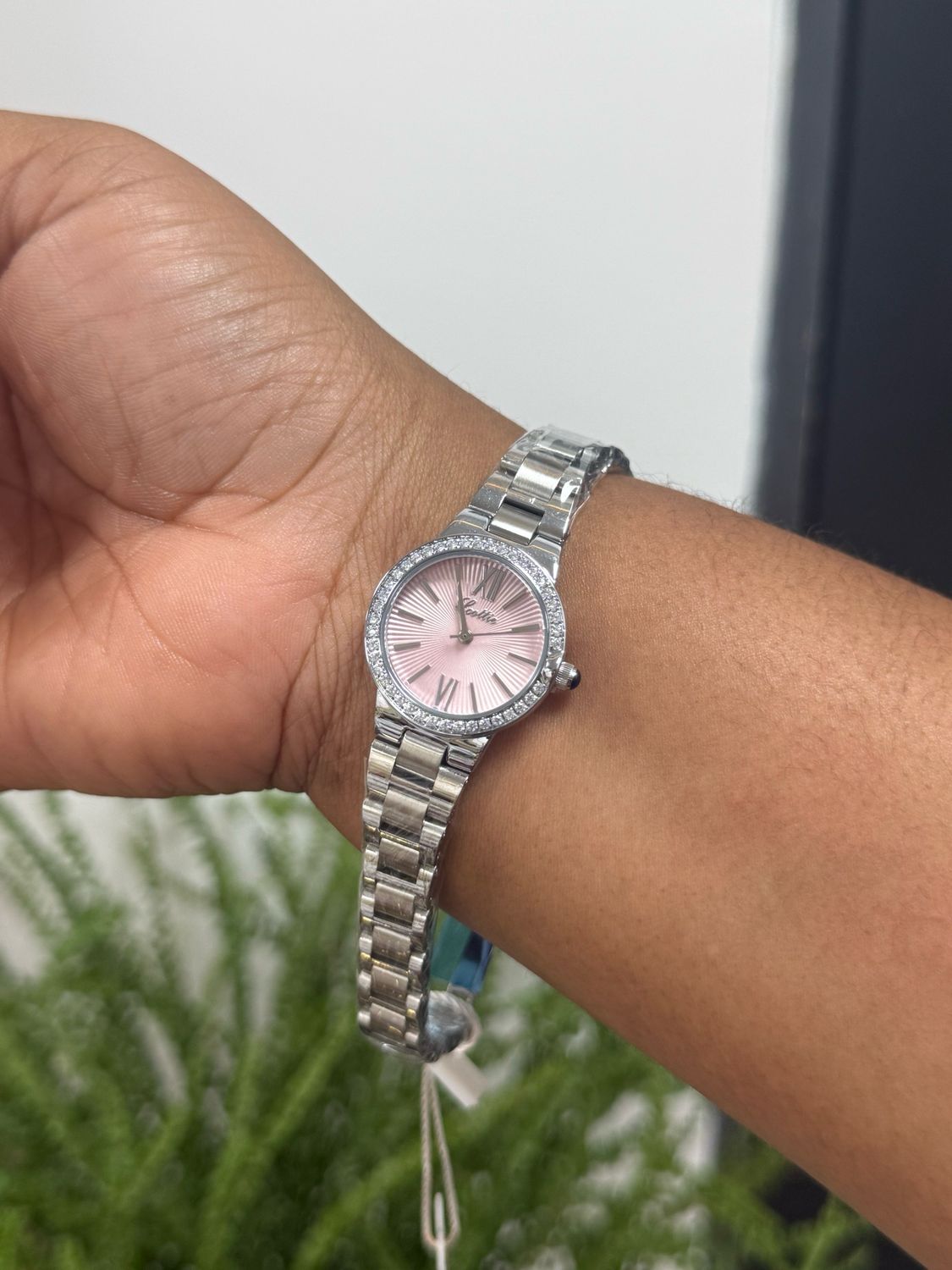 Scottie Watch