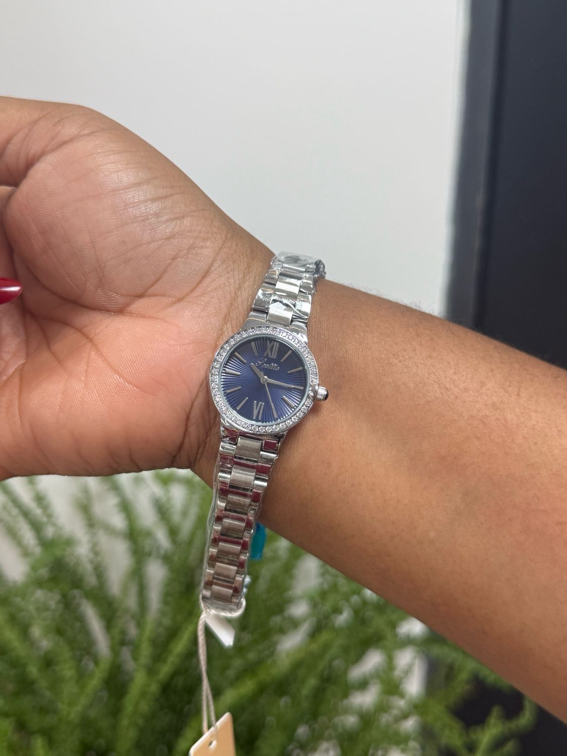 Scottie Watch