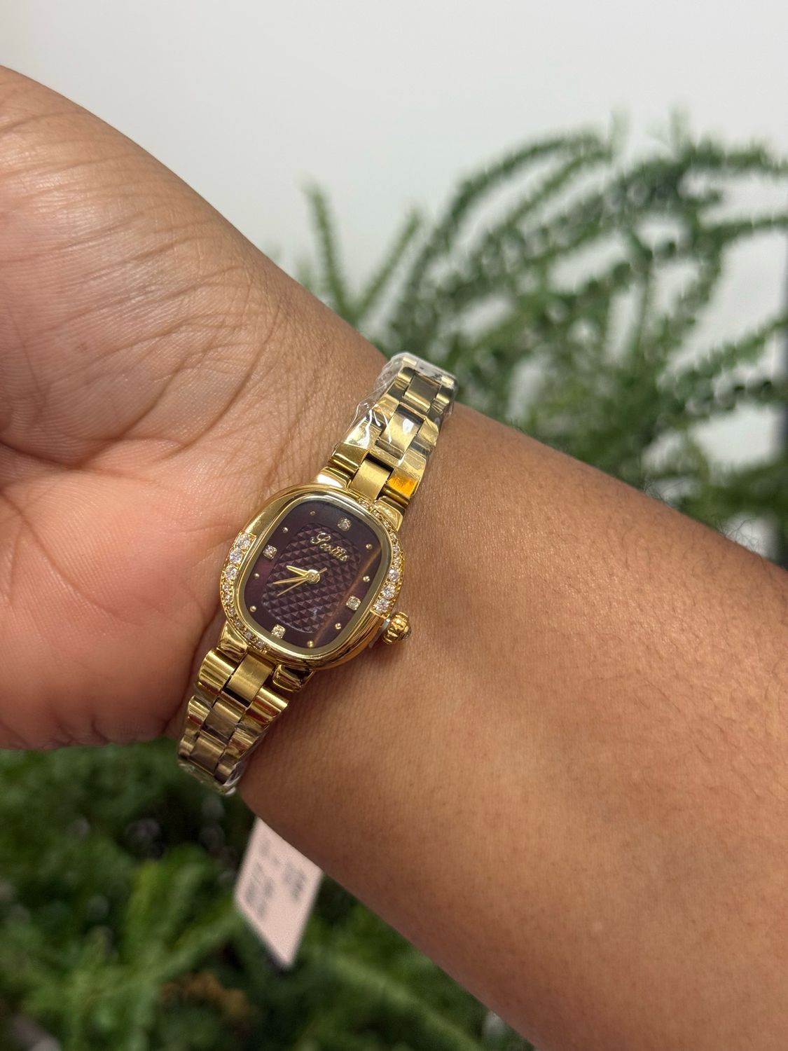 Scottie Watch