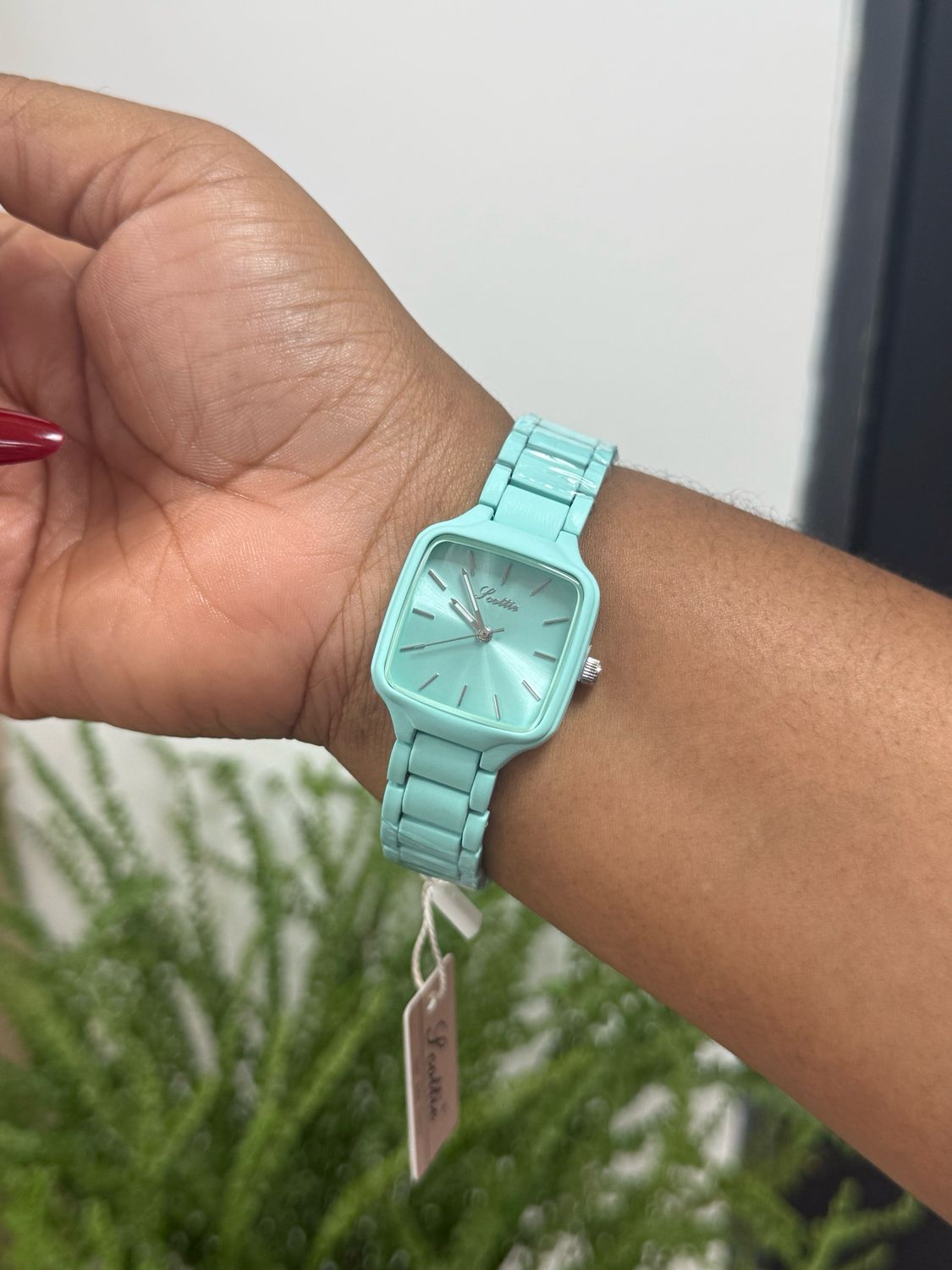Scottie Watch