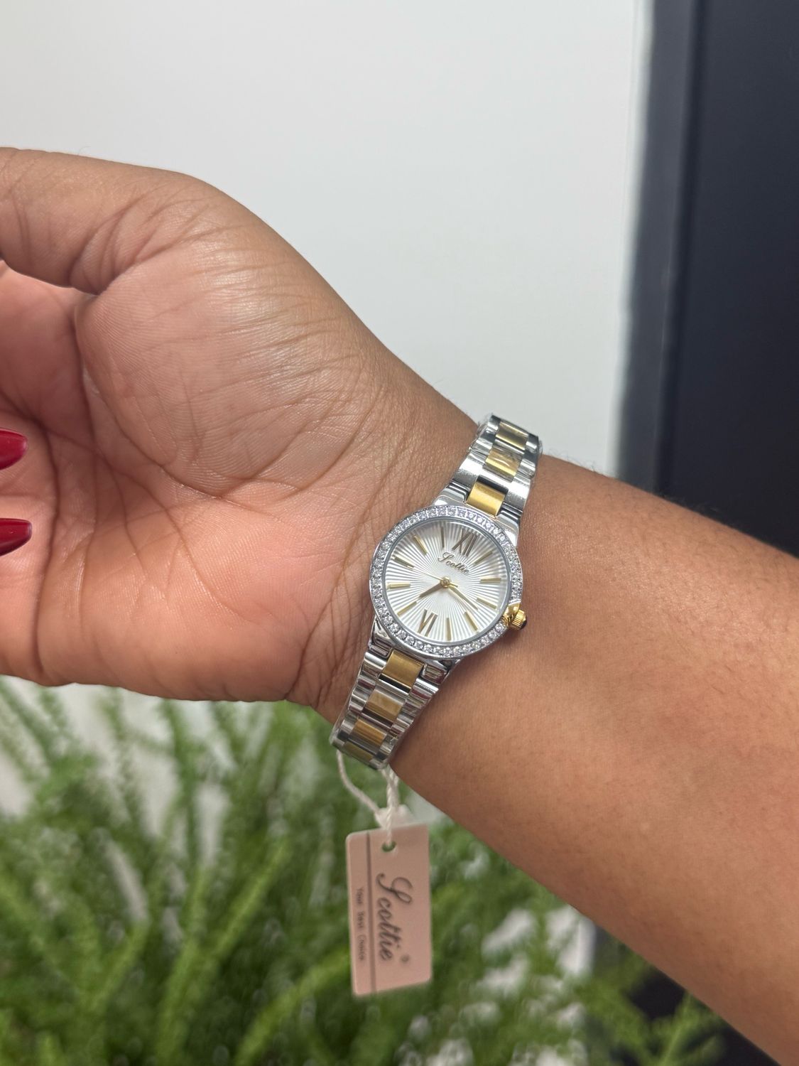 Scottie Watch