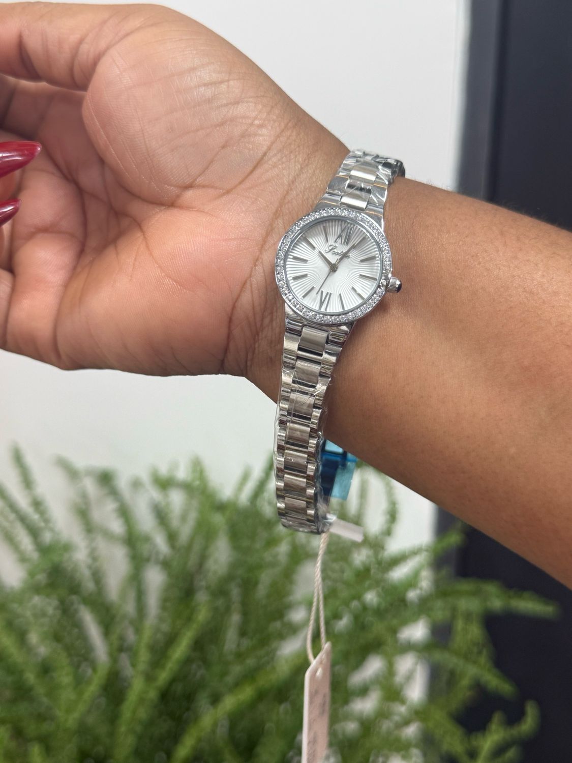 Scottie Watch