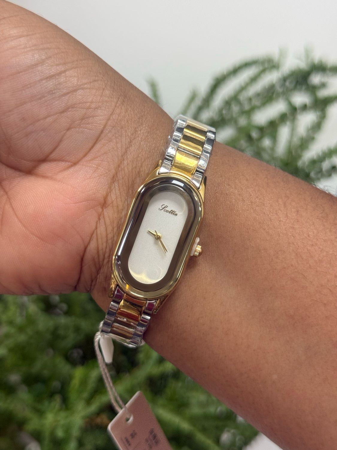 Scottie Watch