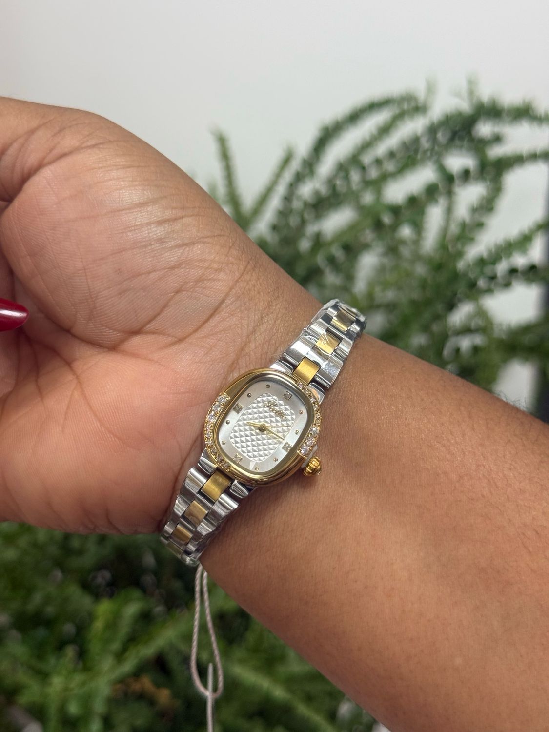 Scottie Watch