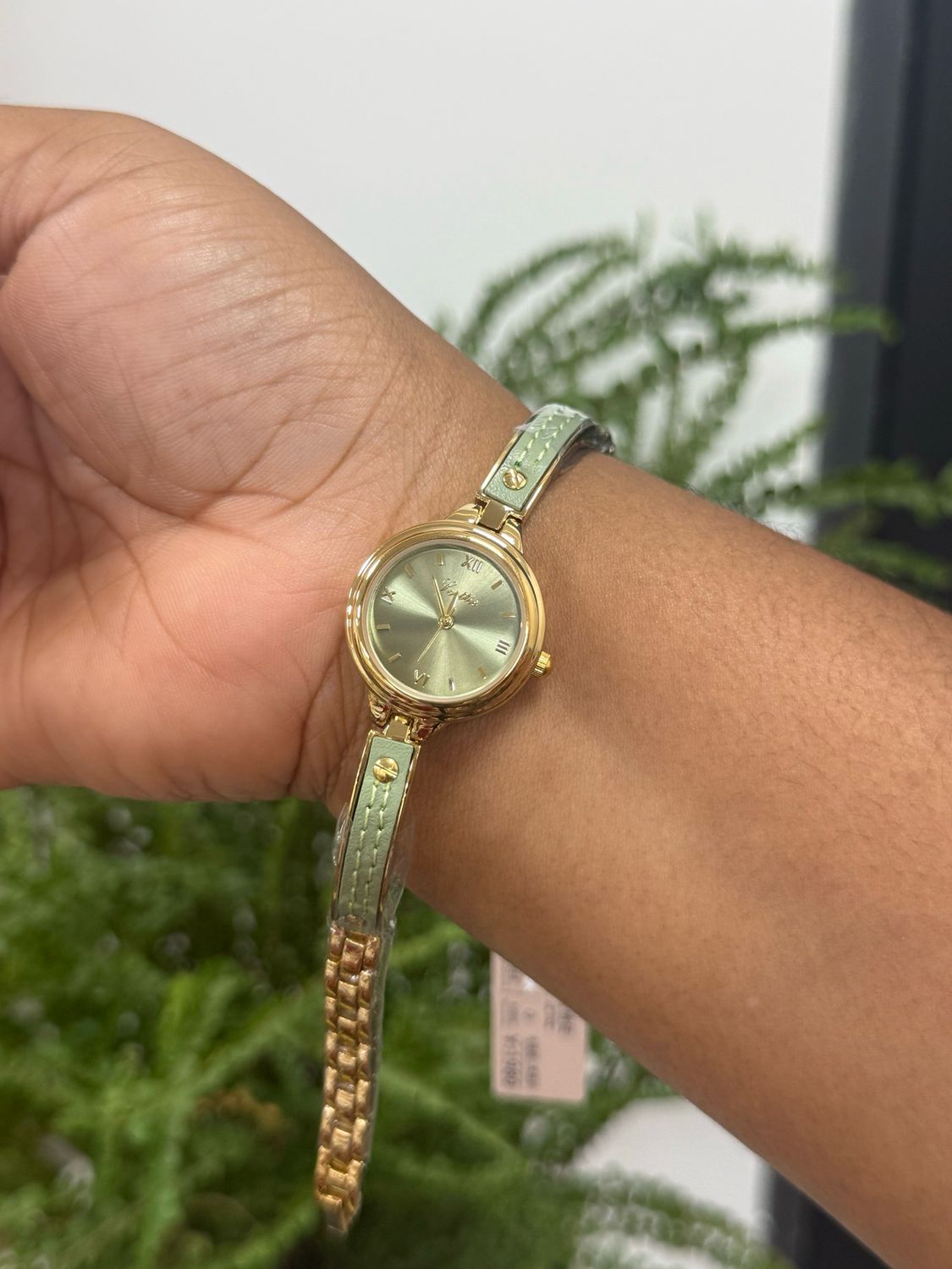 Scottie Watch