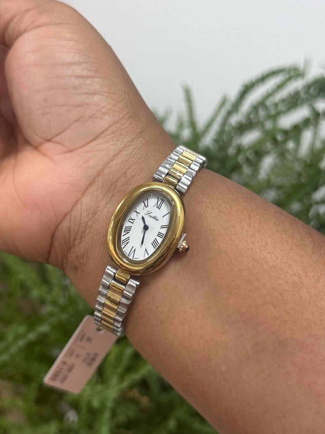 Scottie Watch