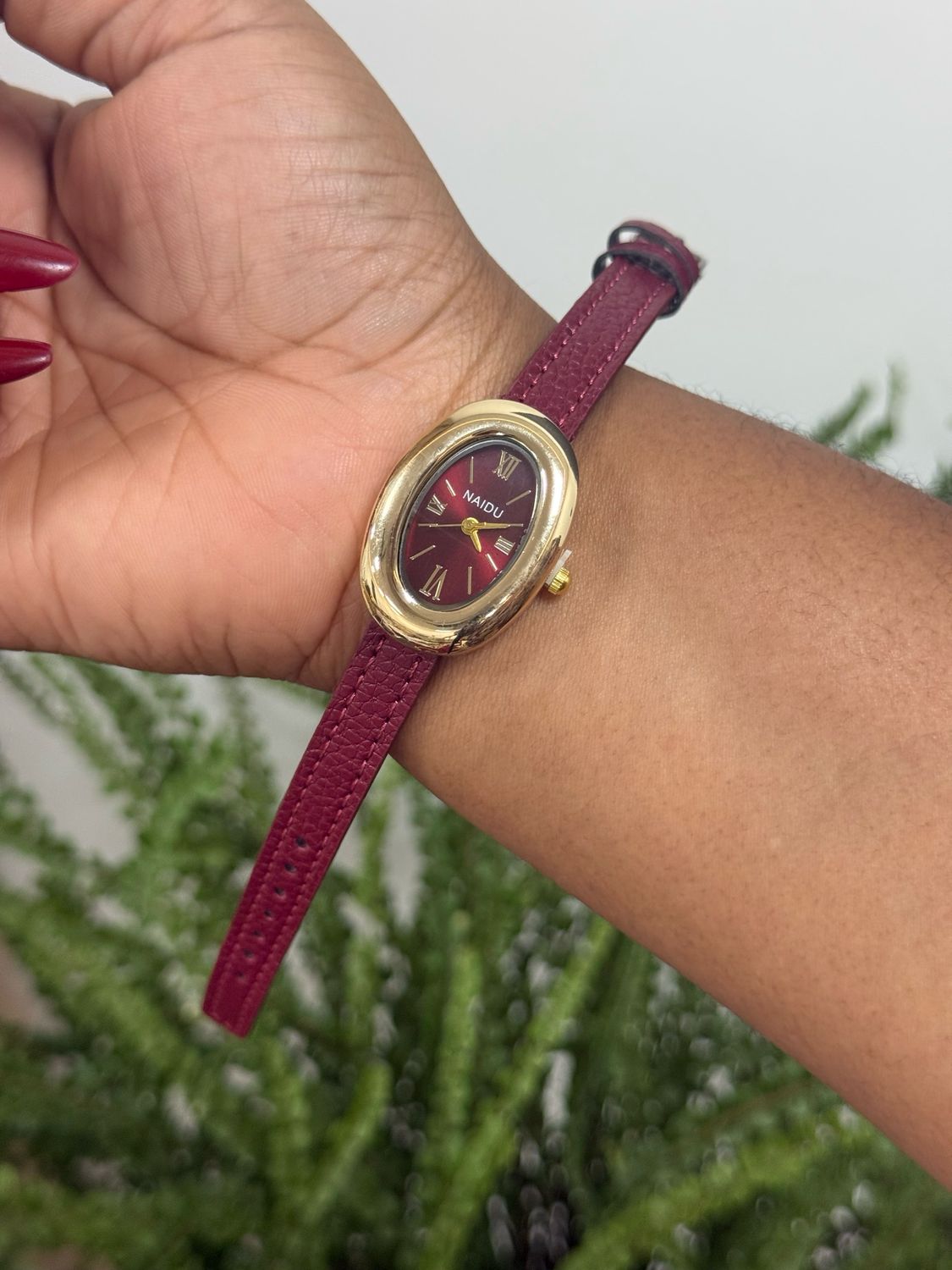 Naidu Watch