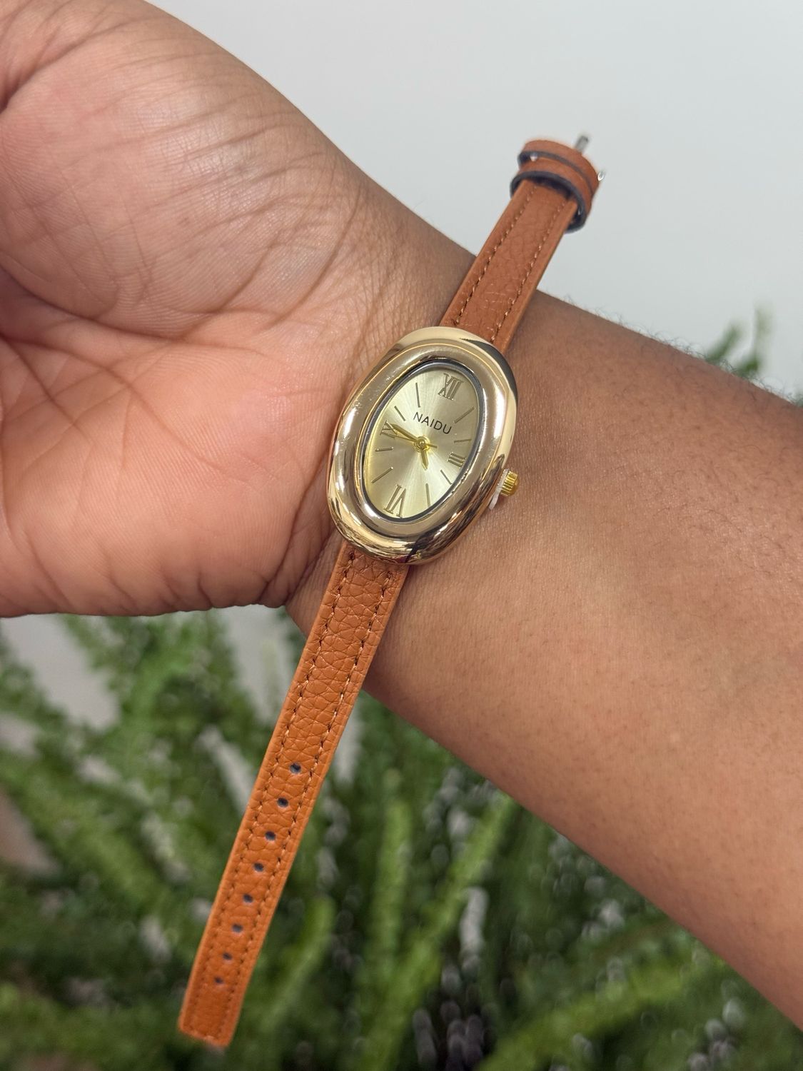 Naidu Watch