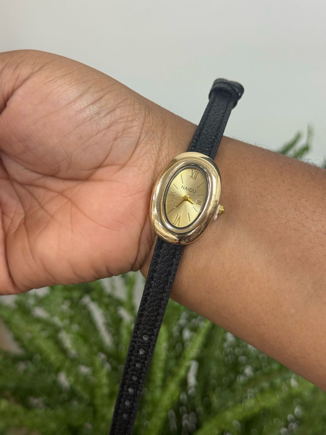 Naidu Watch