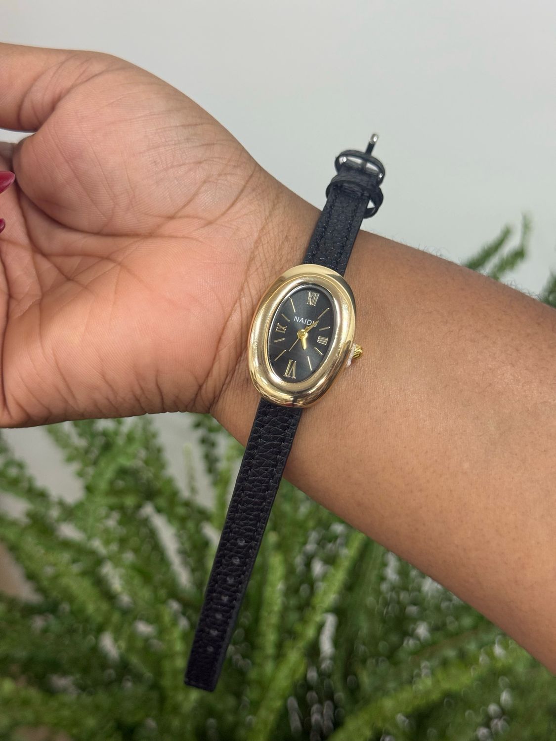 Naidu Watch