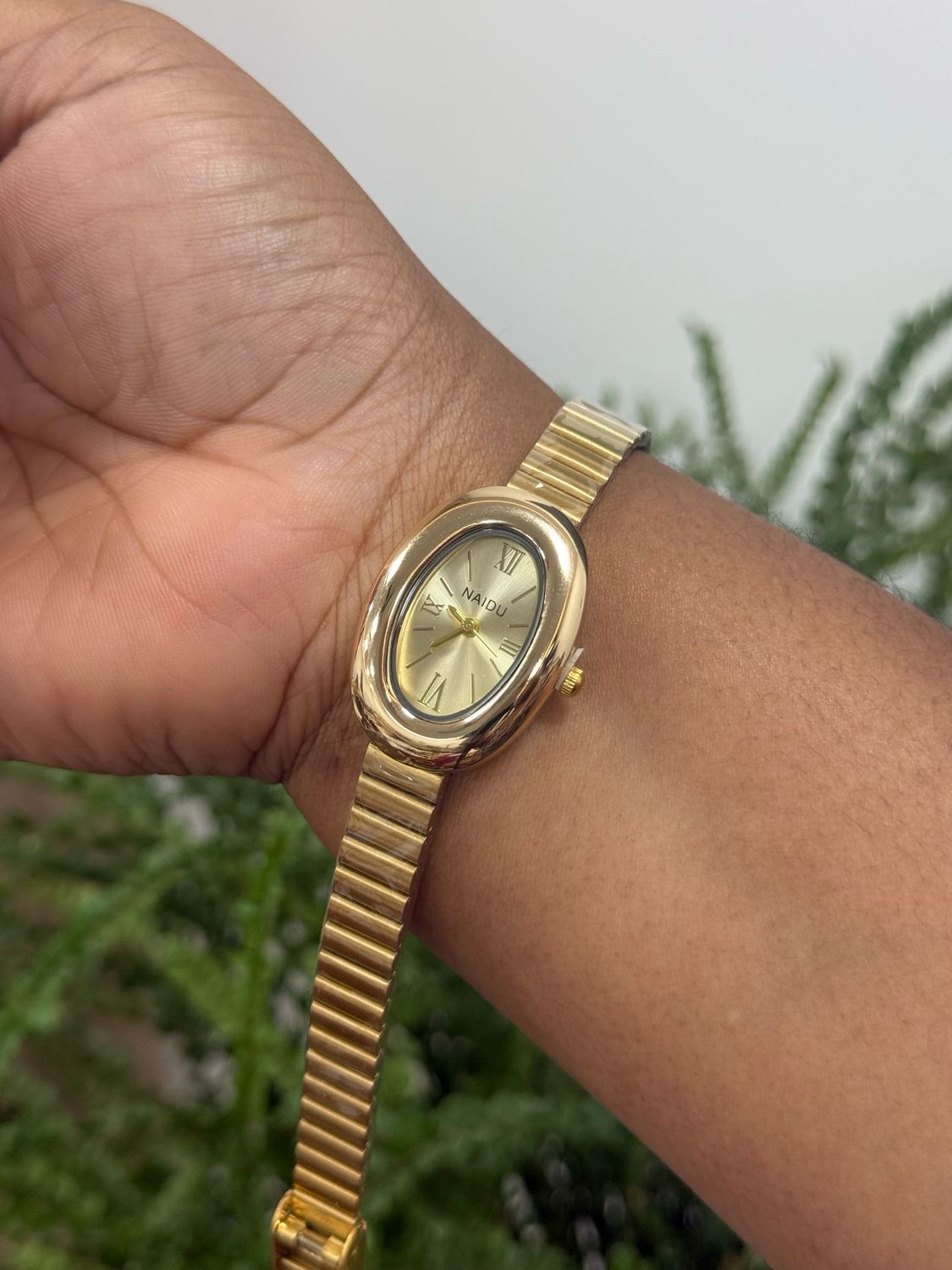 Naidu Watch