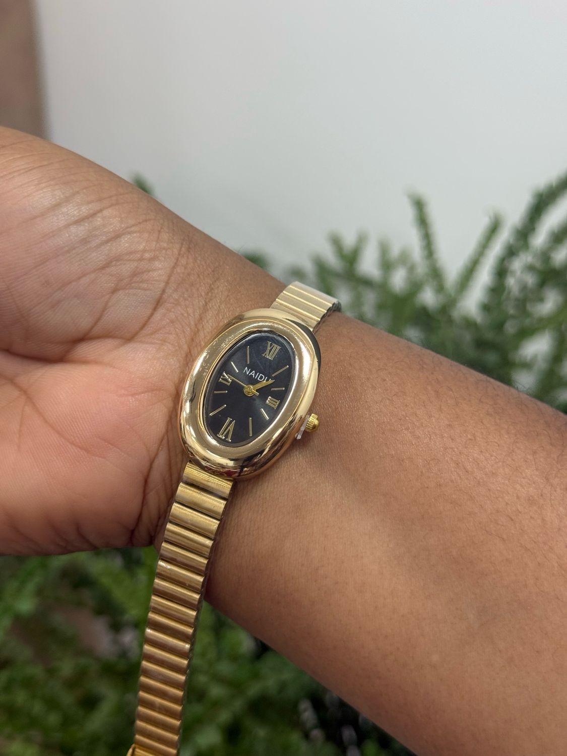 Naidu Watch