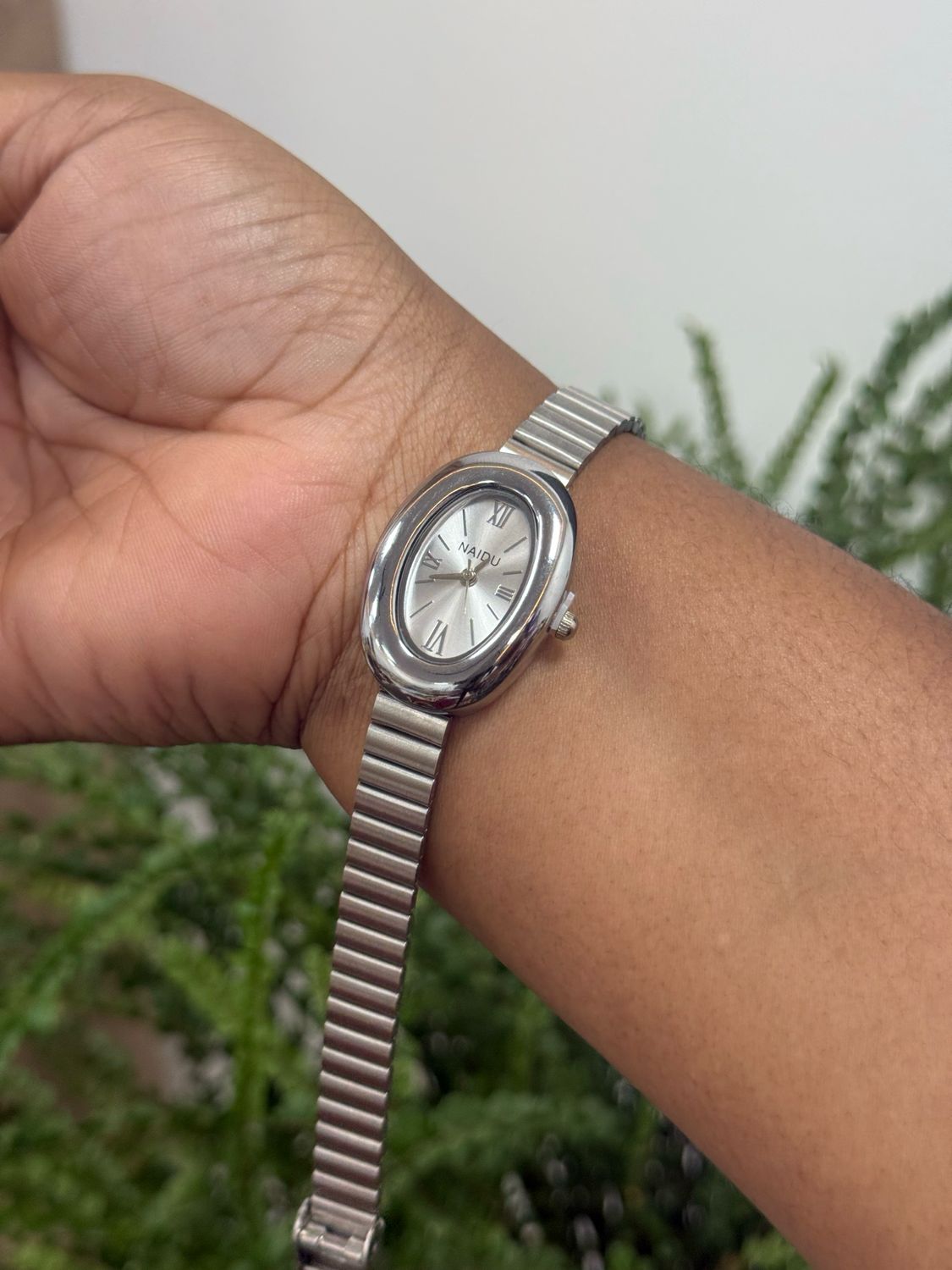 Naidu Watch