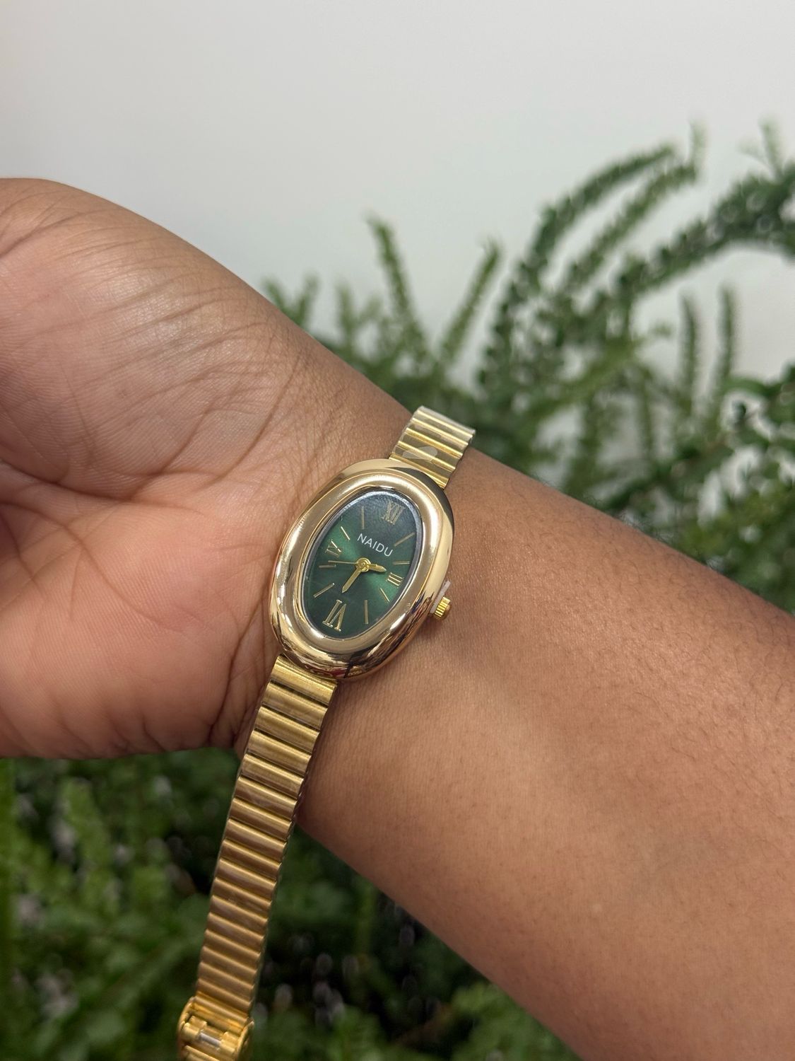 Naidu Watch
