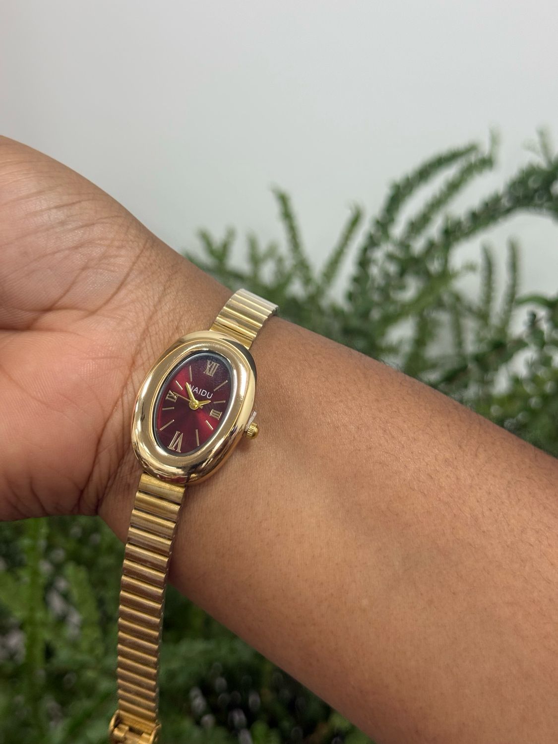 Naidu Watch