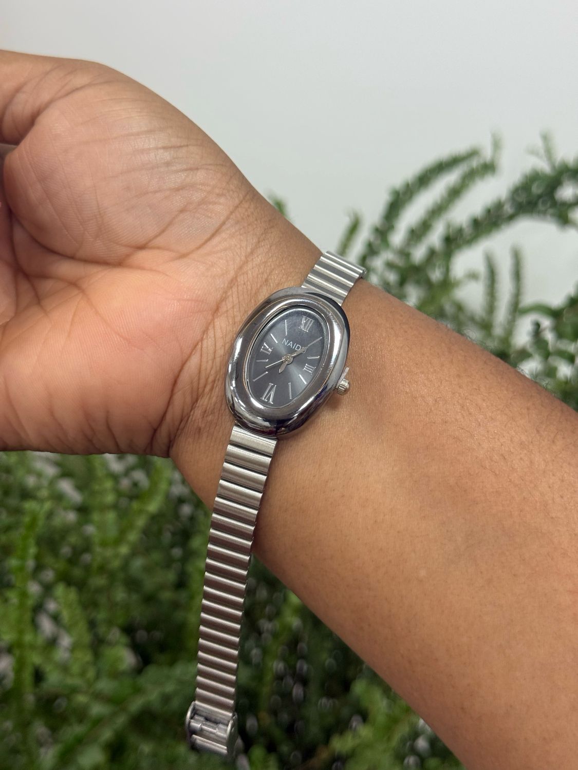 Naidu Watch