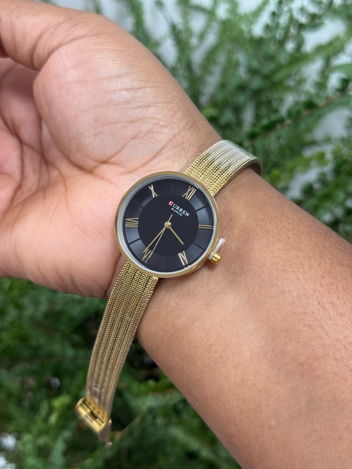 Curren Ladies Watch