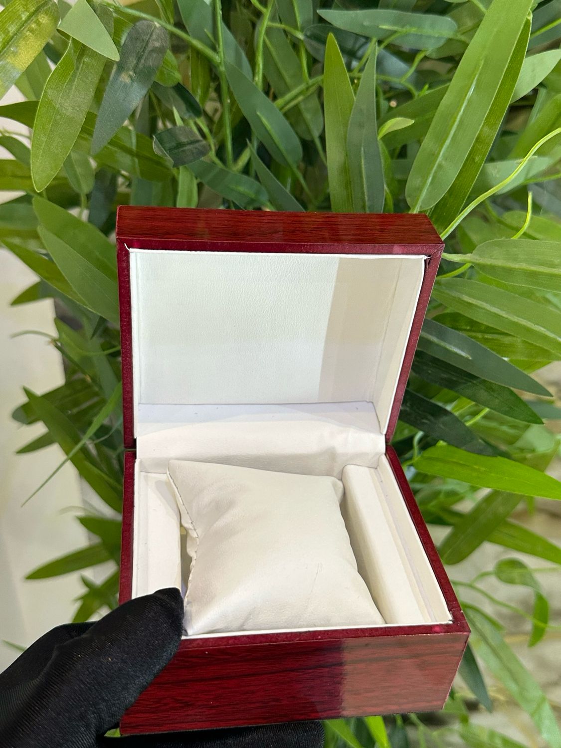 Watch Box