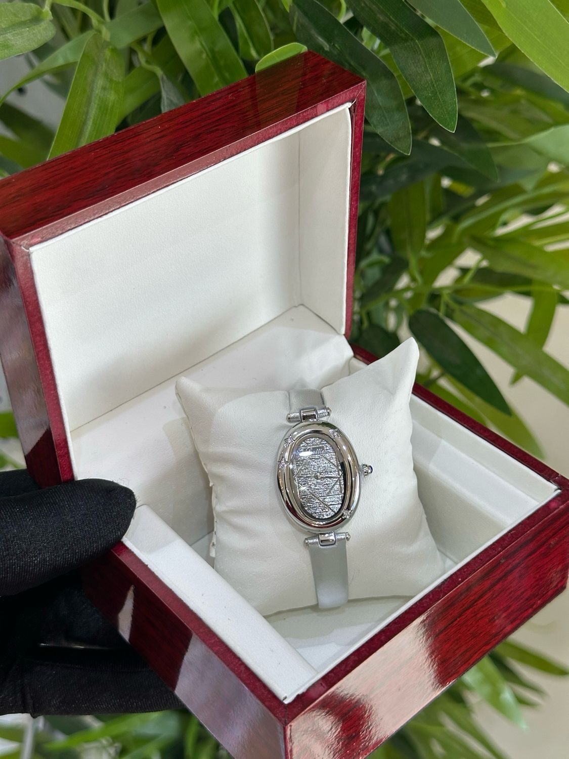Scottie Watch