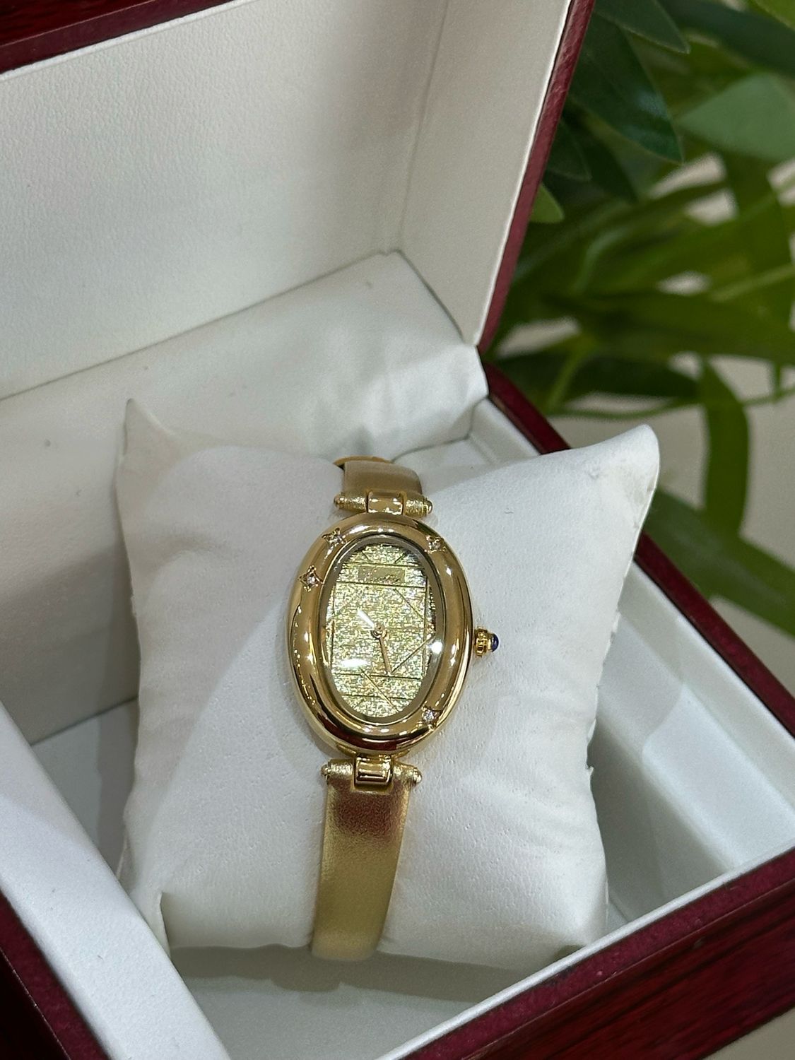 Scottie Watch