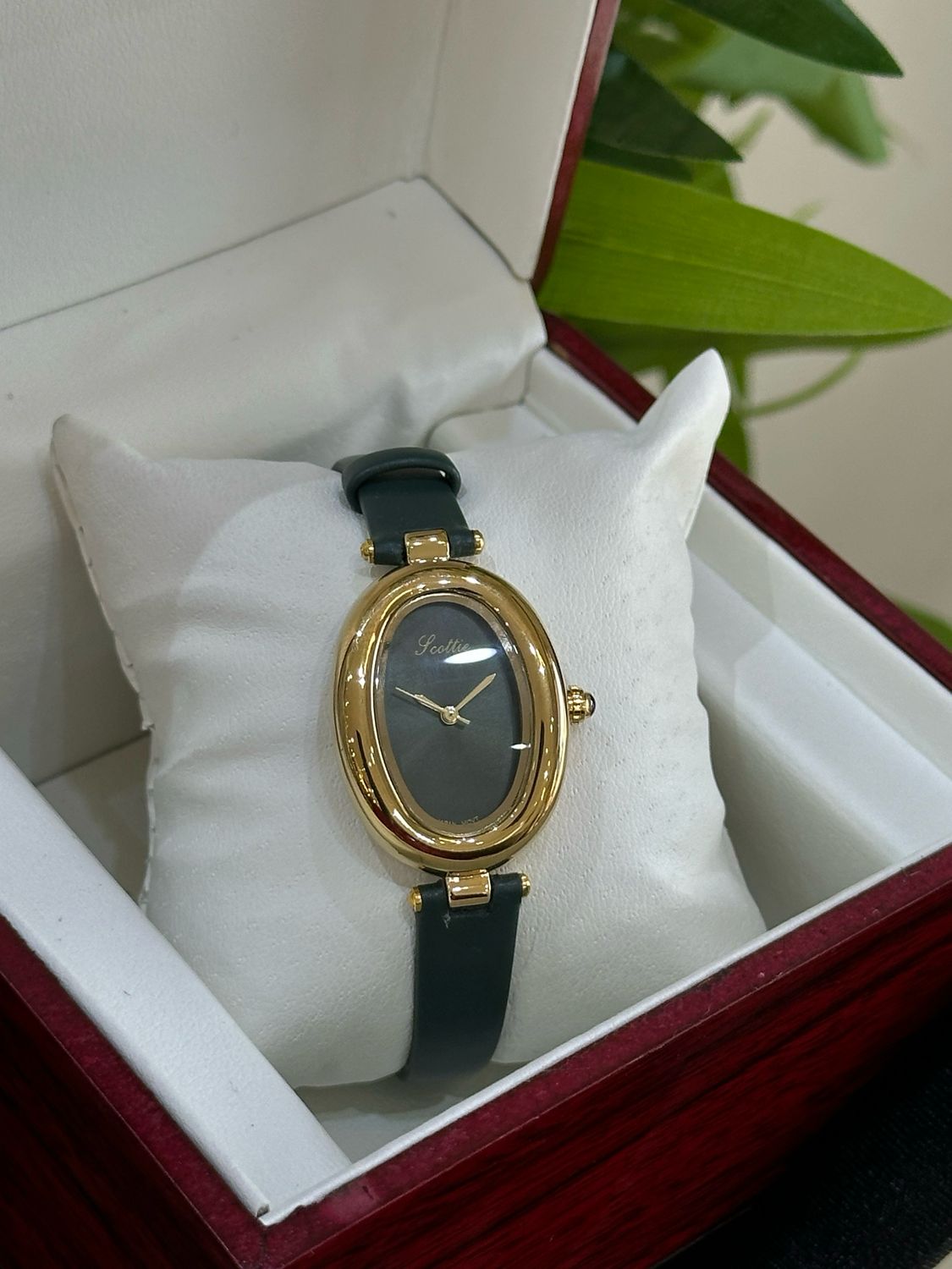 Scottie Watch