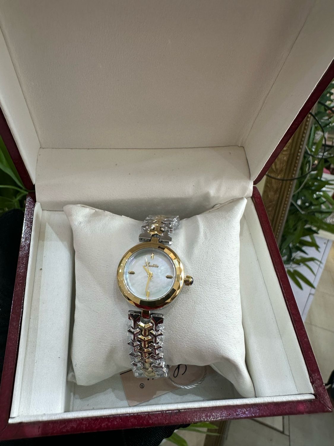 Scottie Watch