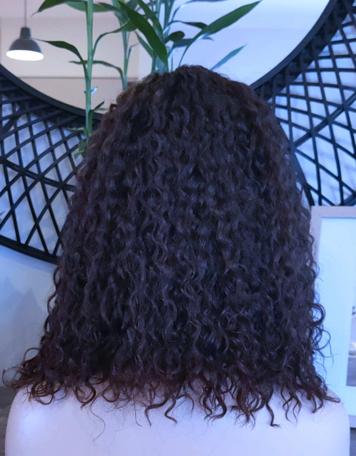 Cathy Wigs | Curly Human Hair Lace Front 