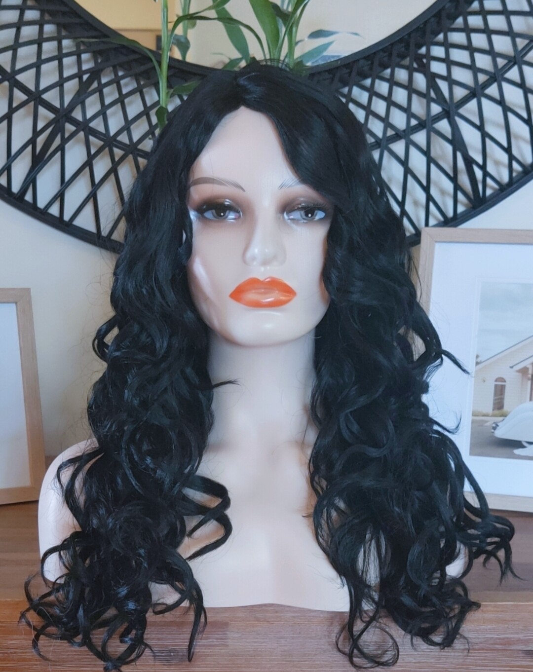 Lisa Wig | Jet Black Side Part Lace Front 