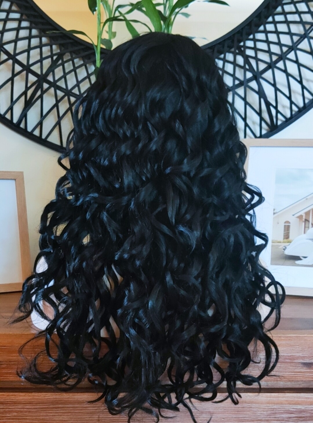 Lisa Wig | Jet Black Side Part Lace Front 