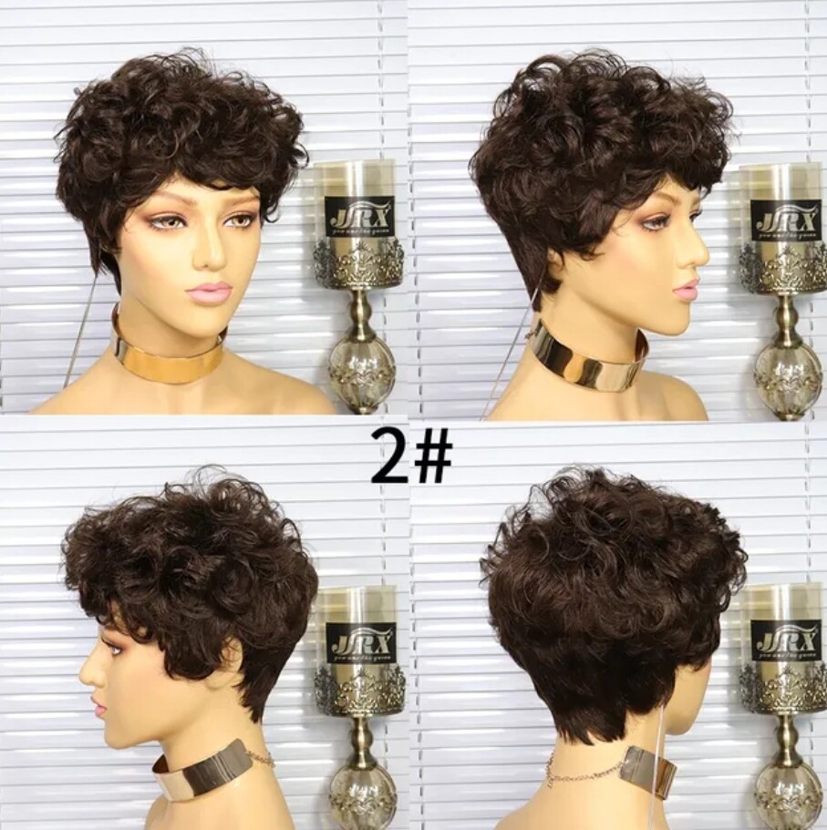 Sue Wigs | Short Curly Human Hair