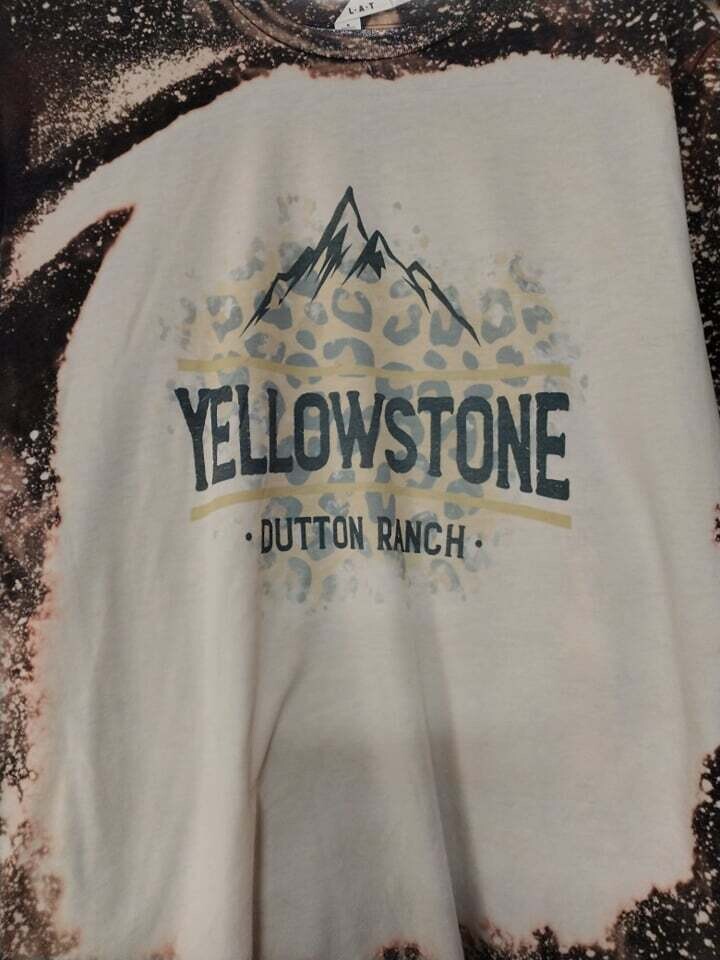 Yellowstone with Cheetah Mountains