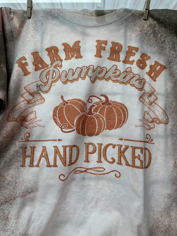 Farm Fresh Pumpkins Hand Picked