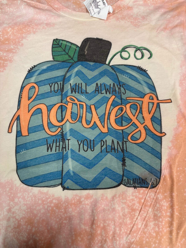 You Will Always Harvest What You Plant