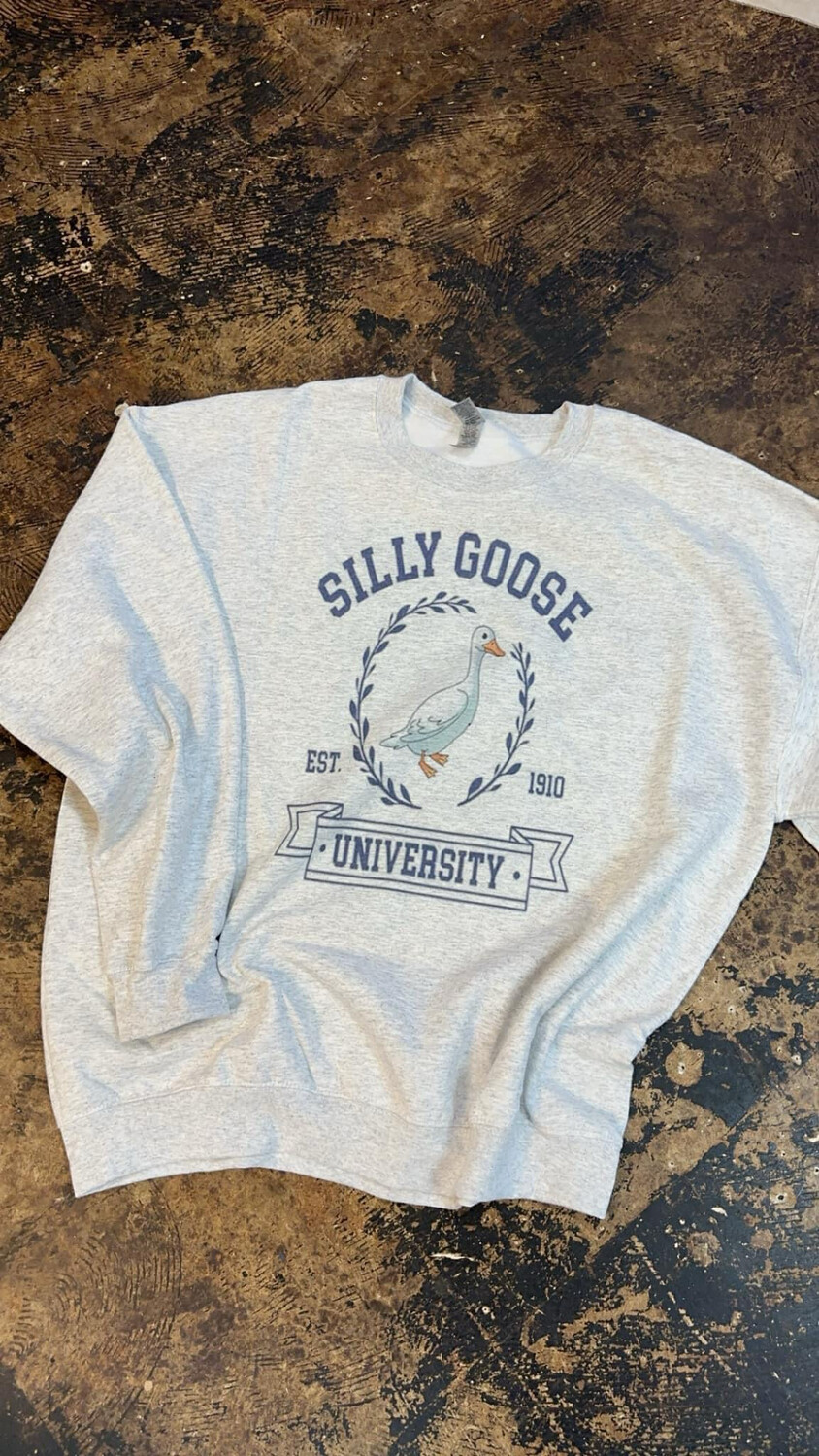 Silly goose university