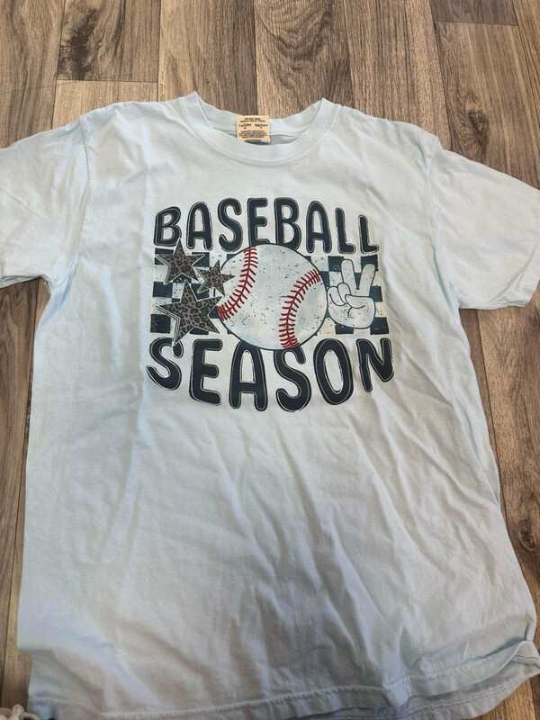 Baseball season transfer