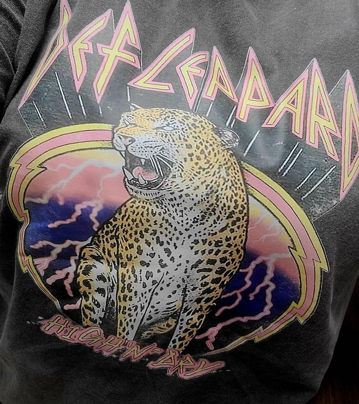 Def leppard transfer