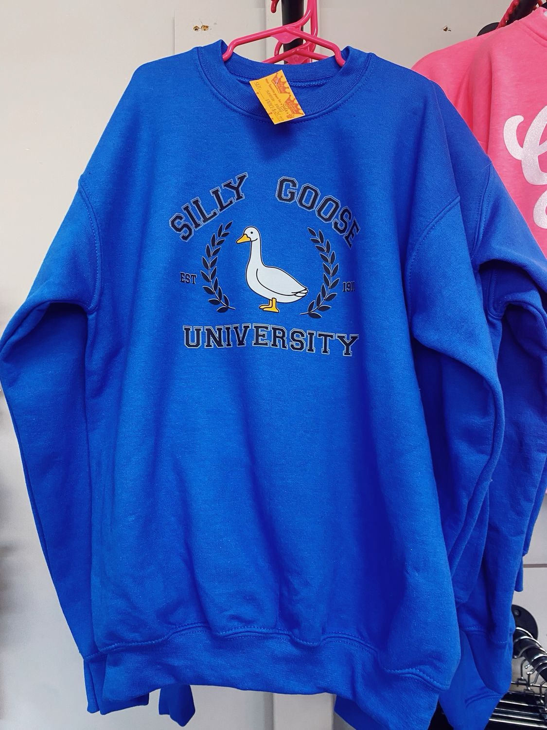 silly goose university youth transfer