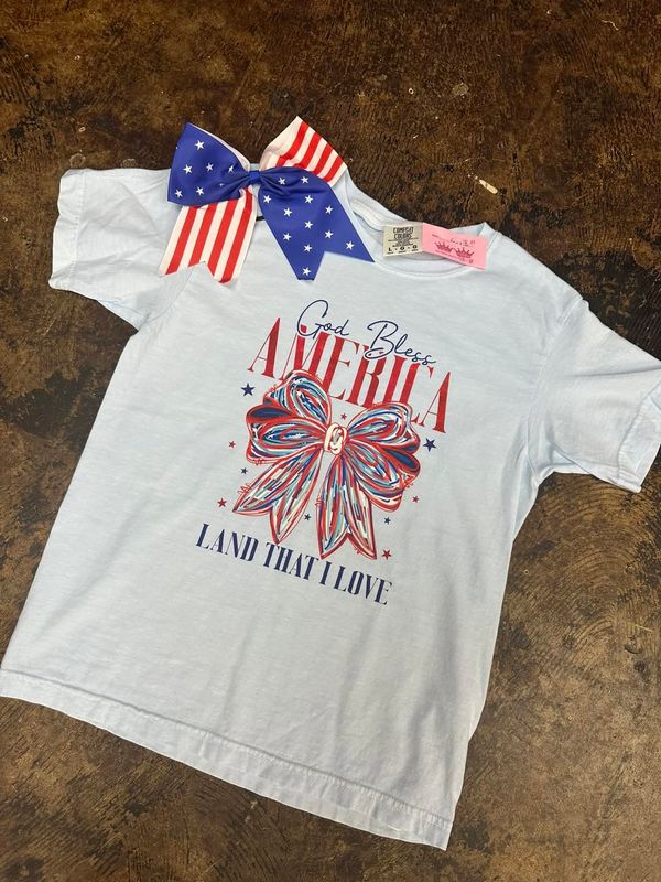 red white and blue bow - LAND THAT I LOVE