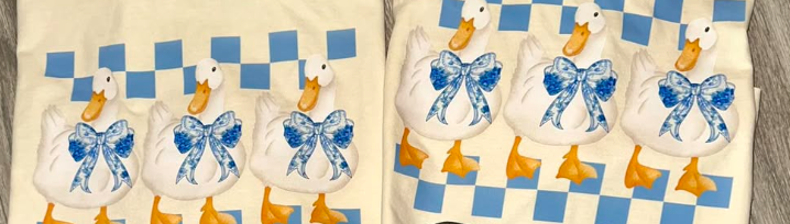 Ducks with Blue Checkers
