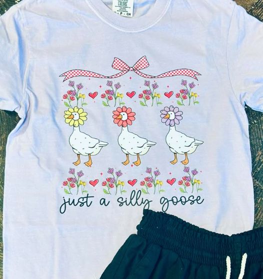 Just a Silly Goose