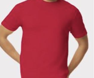 Gildan softstyle