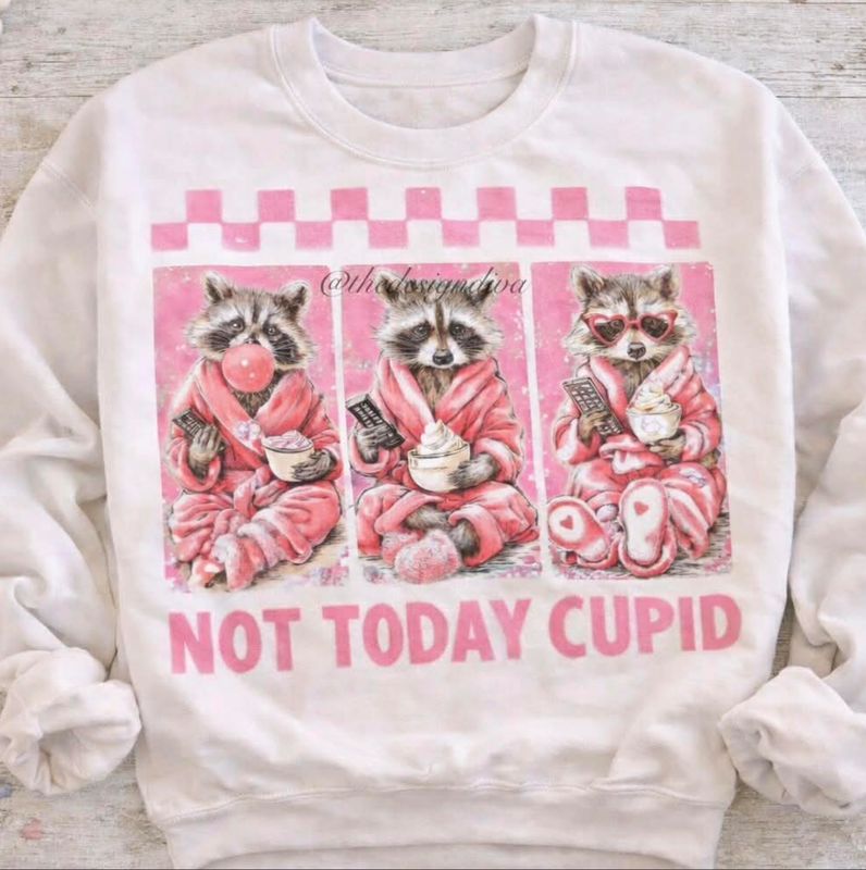 Not Today Cupid Raccoon